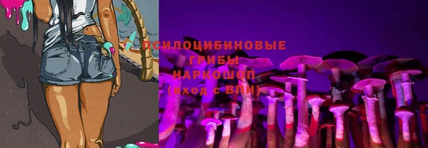 круглые Осташков