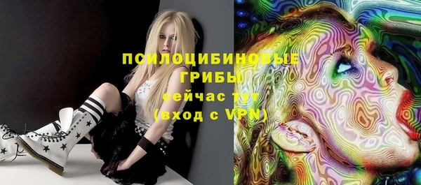 прущая мука Осинники